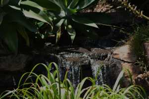 carrick hill 2014 (80)